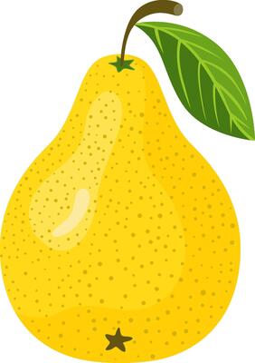 Yellow fresh pear isolated on white