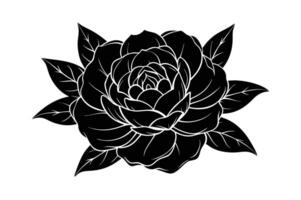 Peony flower silhouette illustration vector