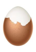 partially peeled egg, boiled egg with half peeled shell, illustration isolated on white background vector
