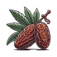 Delicious Dried Dates vector