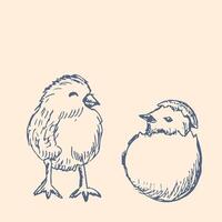 Happy easter graphic ink elements. Hand drawn outline sketch of egg, chicks vector