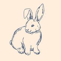 Happy easter graphic ink animal. Hand drawn outline sketch of bunny vector
