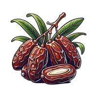 Dried Dates Perfection vector
