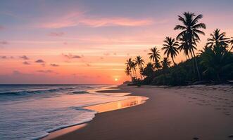 A beach with palm trees and the sun setting photo
