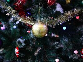 A close up of a christmas tree with decorations photo