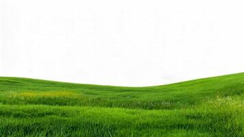 Green rolling hills under a cloudy sky in an open landscape during the afternoon photo