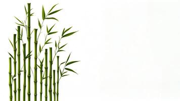 Green bamboo stalks grow vertically against a neutral background in a serene natural setting photo