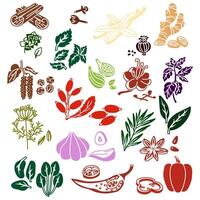 set of herbs and spices in the form of colored silhouettes, whole and in pieces on a white background. A variety of herbs, seeds, vegetables for different taste preferences. Lots of colorful pieces vector