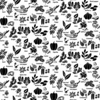 a pattern with herbs and spices in the form of black silhouettes, a whole and pieces with a name on a white. A variety of herbs, seeds, vegetables for different taste preferences. Kitchen texture vector