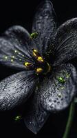 A mesmerizing black flower adorned with droplets and tiny green insects in a mystical atmosphere photo