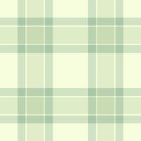 Subtle sage green and cream plaid pattern. Perfect for textile design, website backgrounds, or stationery. Elegant and versatile, this soft texture adds a touch of sophistication to any project. vector