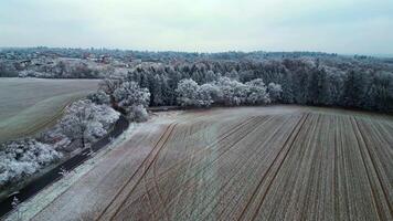 Aerial ascending view of frozen park and field in Czechia in December 2024 video