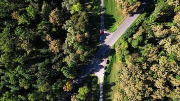 Aerial top down view of road on dam and forest in Slovakia in October 2024 video