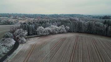Aerial view of frozen park and trees and field in Czechia December 2024 video
