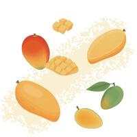 Detailed and Artistic Illustration of Mango in Various Forms with Rich Colors vector