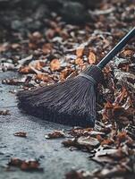 Clean with a Broom Autumn Fall Season photo