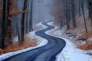 Serene Winter Forest Road with Curving Path Through Snow-Covered Trees photo