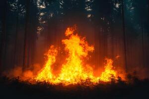 Intense Forest Fire in a Dense Woodland Setting photo