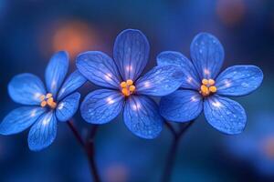 Tranquil Blue Flowers with Glowing Centers in Soft Focus for Nature-Themed Art and Design photo