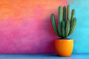 Vibrant Cactus Against Colorful Gradient Background for Creative Design photo