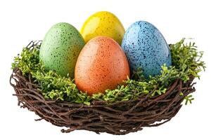 Colorful easter eggs resting in a nest on white background photo