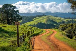 Winding dirt road leading through rolling green hills in california countryside photo
