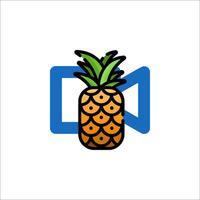 A pineapple is shown in a blue square vector