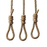 Three nooses hanging on a plain background showcasing intricate knotting techniques and craftsmanship photo