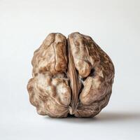 Unique walnut with distinct texture and natural patterns set against a plain background photo