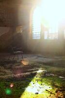 Spooky shot of chair in overgrown abandoned factory interior in backlight with flares photo