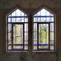 Two windows with bars and vines in an abandoned building photo