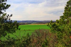 Scenic spring landscape near Langenstein at the Harz mountains in Germany photo