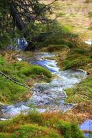 Fresh water flowing along a small creek in the forest photo