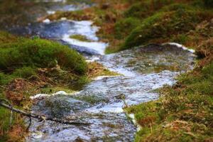 Fresh water flowing along a small creek in the forest photo