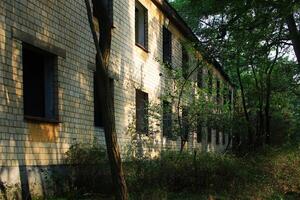 Abandoned apartment block in dense forest with sunlight photo