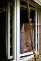 Broken and open window with glass shards photo