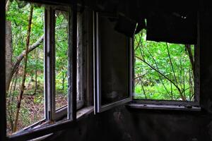 Broken windows and ceiling panels in an abandoned building photo