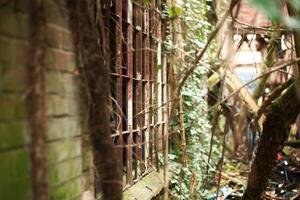 Abandoned rusty metal window frames without glass photo
