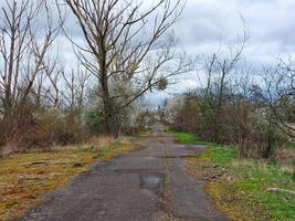 Deserted rural road during overcast spring day photo