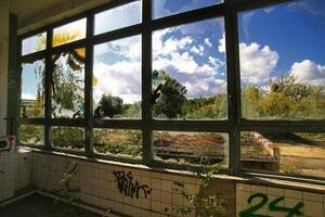 Shattered glass windows, nature reclaiming the view beyond the broken interior photo