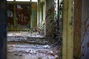 Broken windows and overgrowing branches in abandoned building with graffiti and debris photo