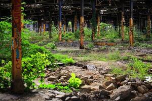 Abandoned industrial structure with rusted pillars overrun by vegetation and graffiti photo
