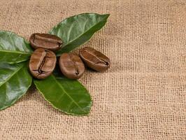 Close up of coffee beans and leaves on burlap background photo