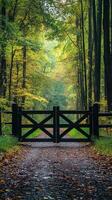 Beautiful forest entrance with a wooden gate and vibrant autumn foliage in the background photo