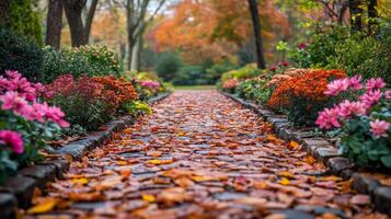 Vibrant autumn path lined with colorful flowers and fallen leaves in a serene garden setting photo