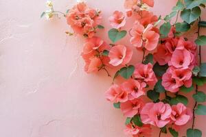 Bougainvillea flowers against a soft pink background create a vibrant and cheerful decor photo