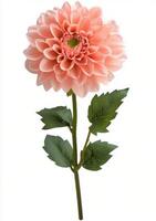Artificial pink flower with green leaves on a white background photo