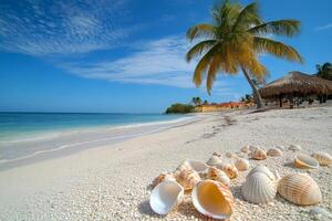 Beautiful beach with white sand and seashells under a clear blue sky in a tropical paradise photo
