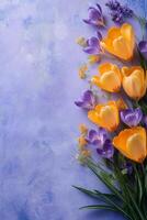 Beautiful arrangement of yellow and purple flowers on a blue background in spring season photo