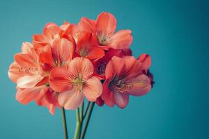 Beautiful bouquet of vibrant orange flowers against a blue background showcasing spring freshness photo